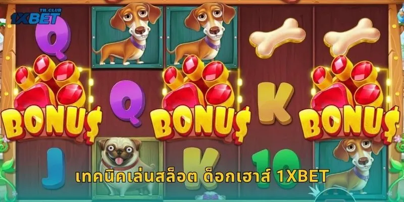 เทคนิคเล่นสล็อต ด็อกเฮาส์ 1XBET